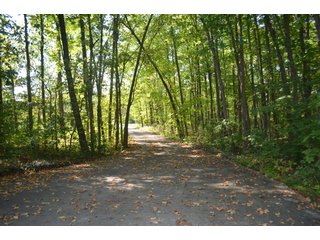 Property photo 47 - REAL ESTATE AUCTION IN ALLEN CO., INDIANA